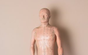 Akupunkturfigur nach traditioneller chinesischer Medizin (TCM)